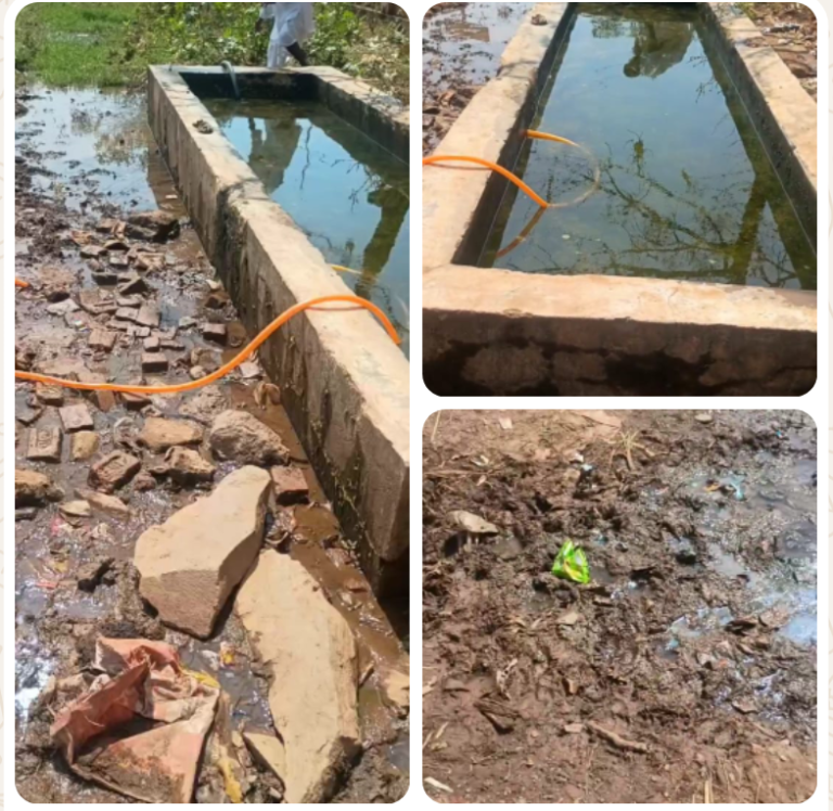 ಅಡವಿಸೋಮಾಪುರದಲ್ಲಿ ದನಗಳ ನೀರಿನ ತೊಟ್ಟಿ ನಿರ್ಲಕ್ಷ್ಯ: ಗ್ರಾಮಸ್ಥರ ಆಕ್ರೋಶ