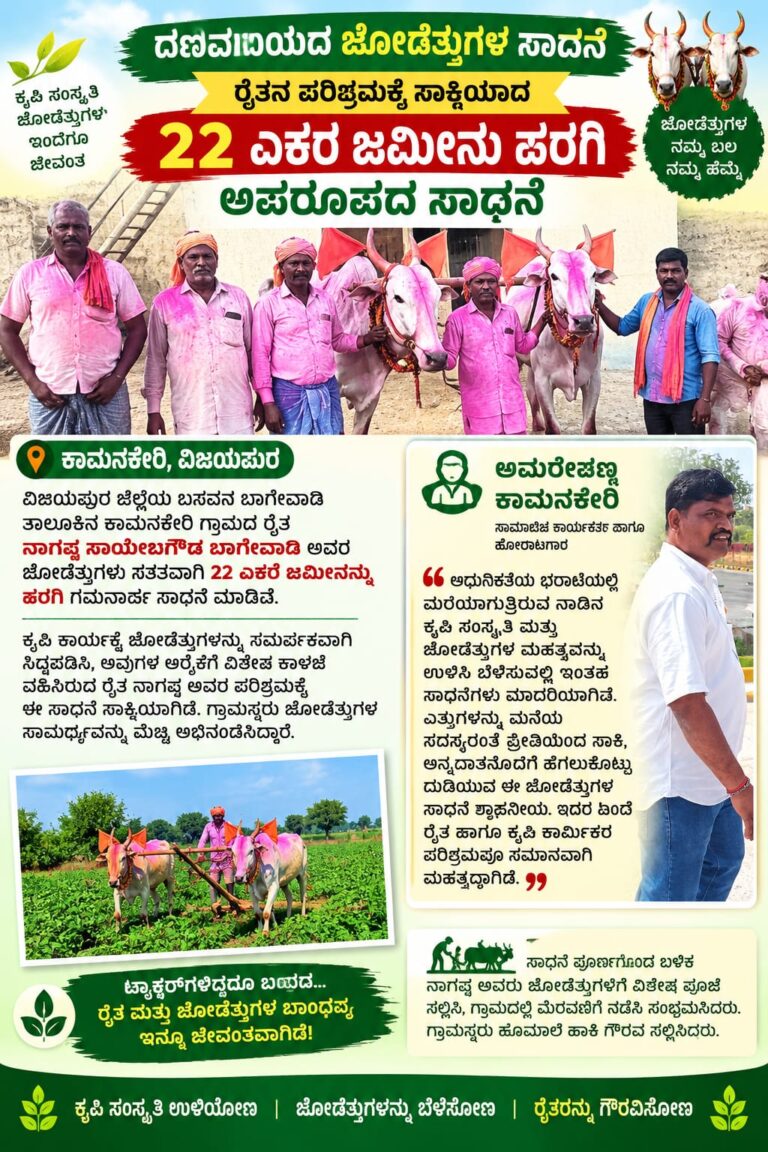 22 ಎಕರೆ ಜಮೀನು ಹರಗಿ ದಾಖಲೆ ಬರೆದ ಜೋಡೆತ್ತುಗಳು